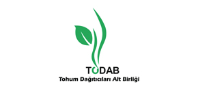 todab
